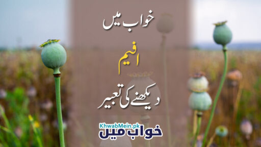 Afeem