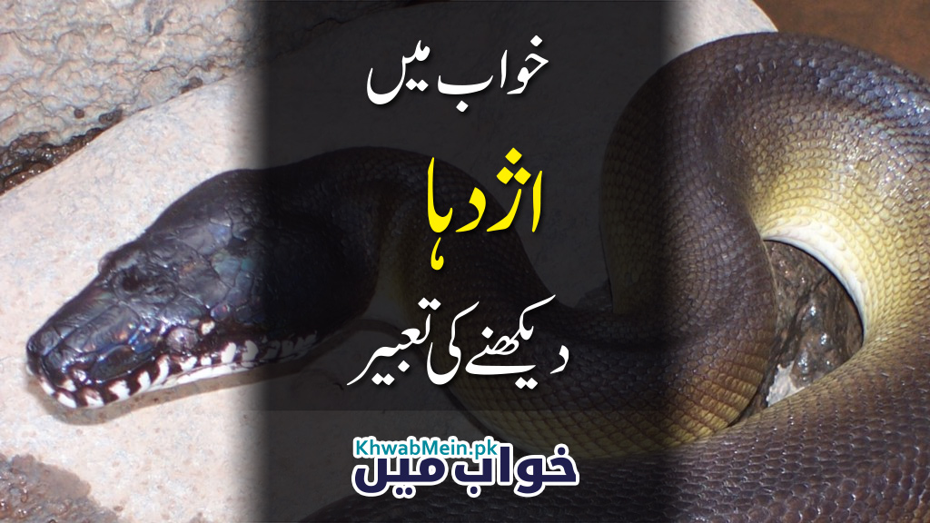Khwab mein Azdaha dekhnay ki tabeer - KhwabMein.pk