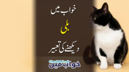 billi