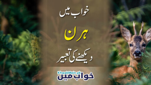 Hiran