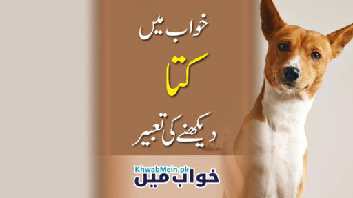 Kutta