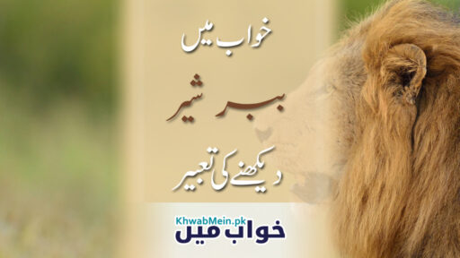 Babbar Sher