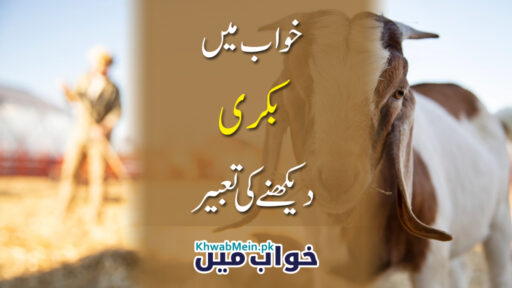 Bakri