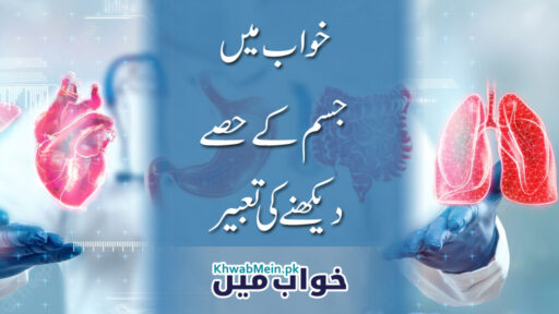 Jism-k-hisay