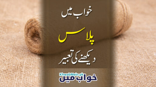 Palaas