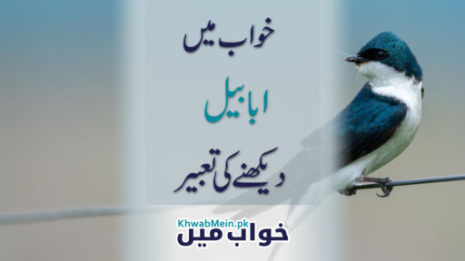 Ababeel
