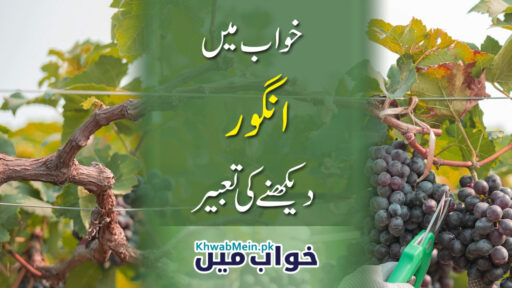 Angoor