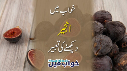 Anjeer