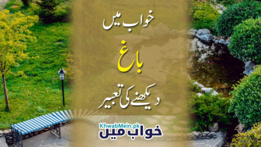 Bagh