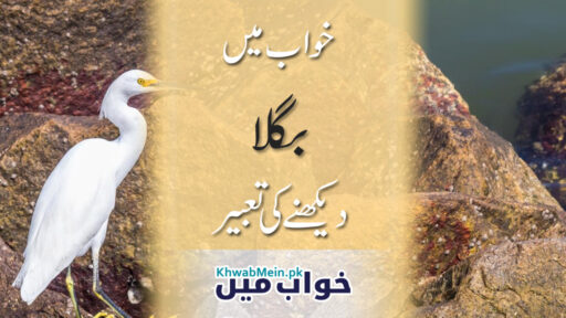 Bagla