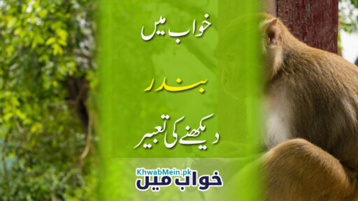 Bandar