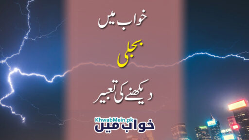 Bajli