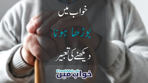 Borha Hona