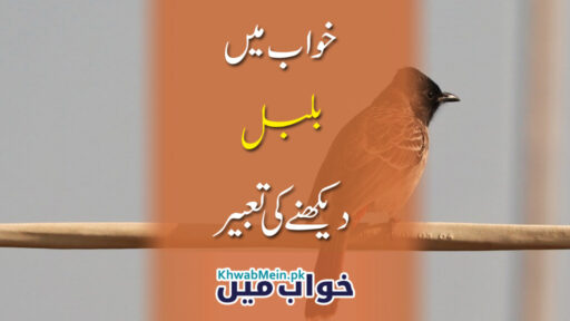 Bulbul