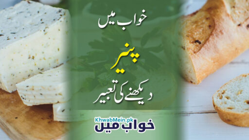 Paneer