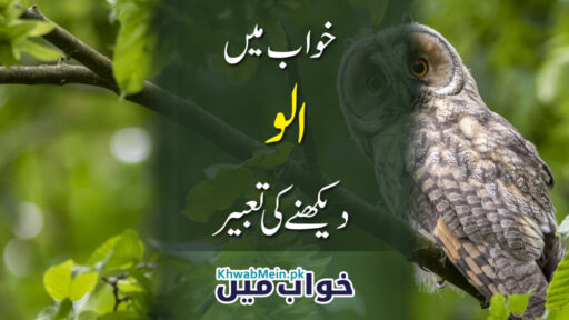Ullu
