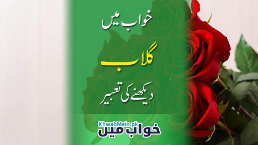 Gulaab