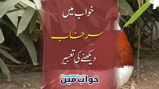 Surkhab