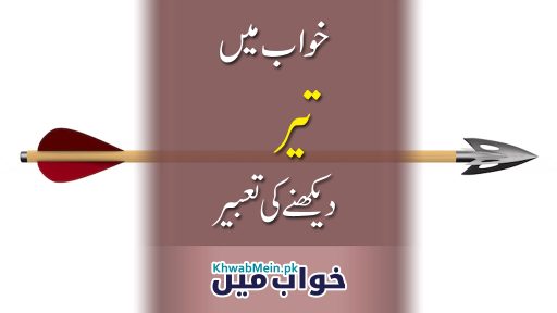Teer