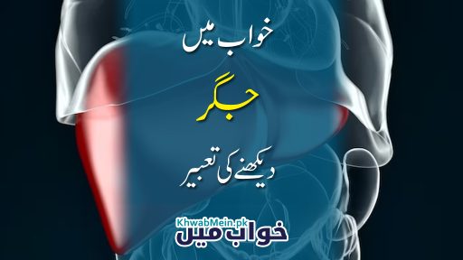 jigar
