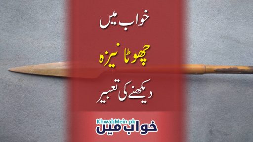 Chota-Neyza