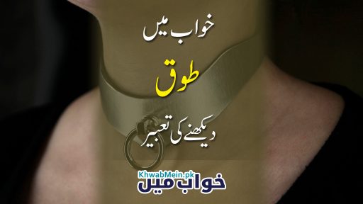 Toq
