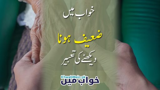Zaheef