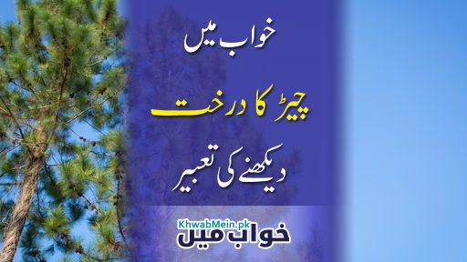 Cher ka darakht
