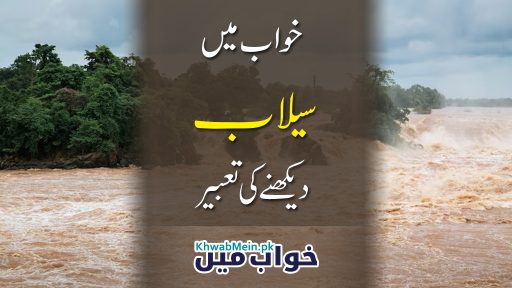 Selaab