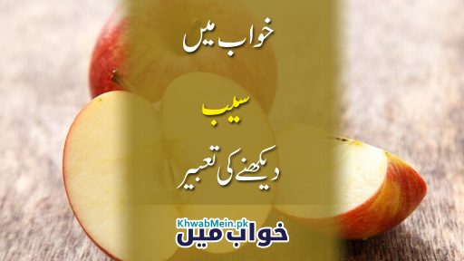 Saib